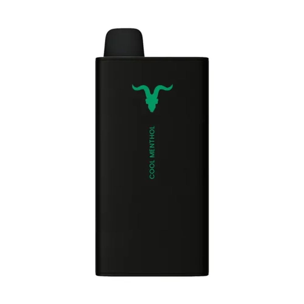 IGNITE V400 SWEET 40000 PUFFS COOL MENTHOL