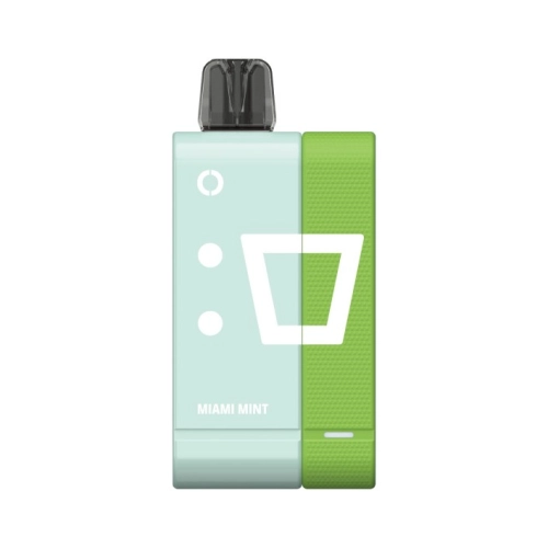 ELFBAR EW 9000 PUFFS MIAMI MINT