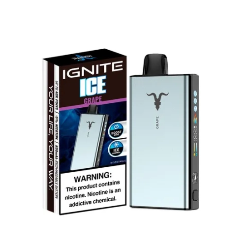 IGNITE V400 ICE 40000 PUFFS GRAPE
