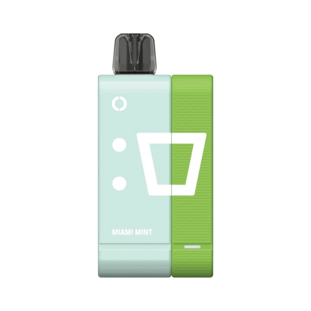 ELFBAR EW 9000 PUFFS MIAMI MINT