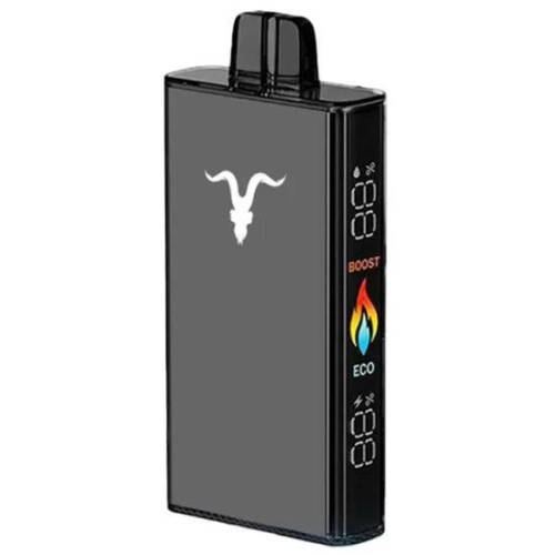 IGNITE V250 BLACK 25000 PUFFS MENTHOL