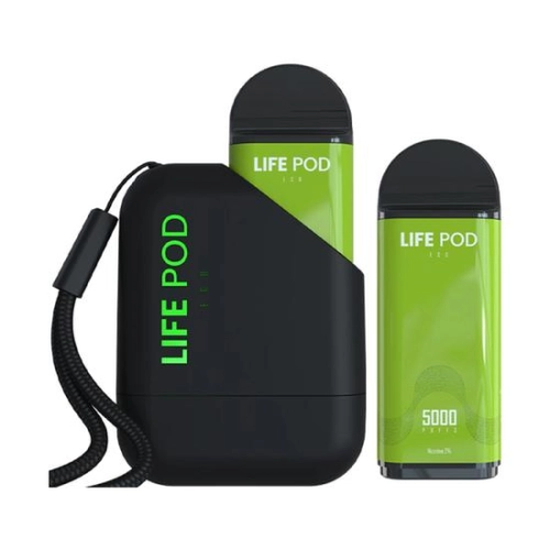 LIFE POD KIT 5000 PUFFS SPEARMINT