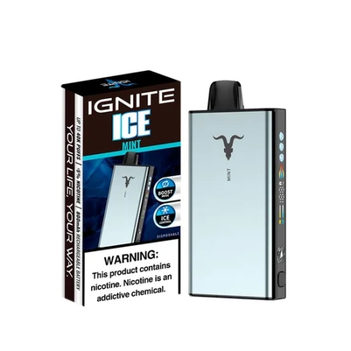 IGNITE V400 ICE 40000 PUFFS MINT
